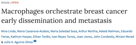 Screen Shot 2018-01-19 at 10.48.32 PM