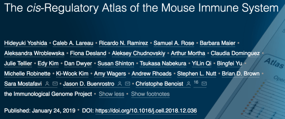 screen shot 2019-01-29 at 12.43.01 pm