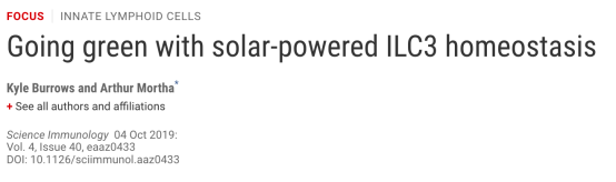 Screen Shot 2019-12-19 at 1.05.11 AM
